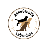 Züchter im VDH/LCD/FCI