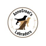 Züchter im VDH/LCD/FCI